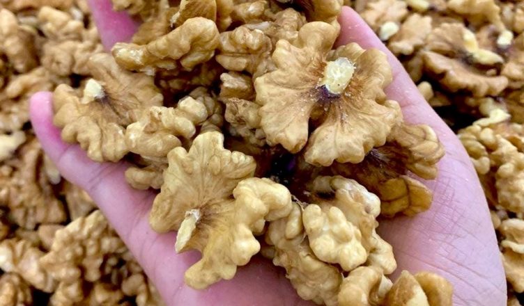 Врачи предупреждают: употребление грецкого ореха может вызвать…