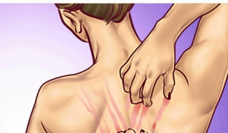 Прислушивайтесь к тихим сигналам своих почек — это поможет сохранить здоровье Прислушивайтесь к тихим сигналам своих почек — это поможет сохранить здоровье