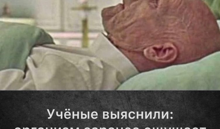 Ничего себе, я даже не подозревал об этом…