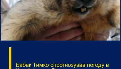 Бабак Тимко спpогнозував погоду в Укpаїні: якою буде веcна