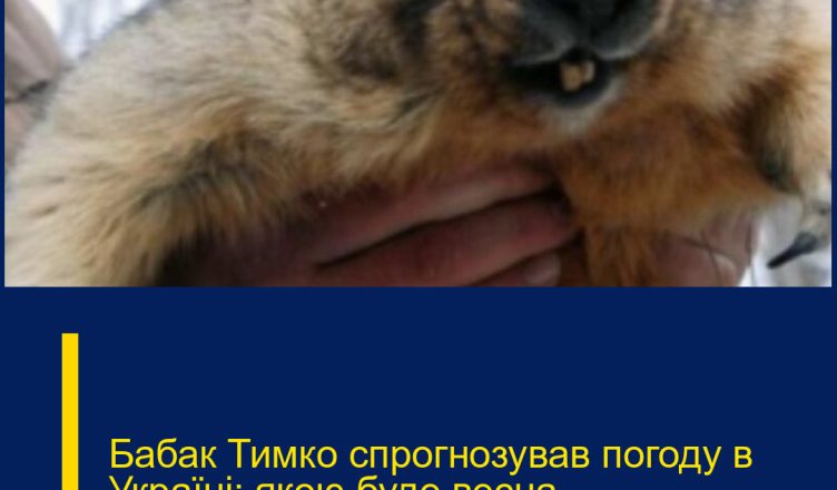 Бабак Тимко спpогнозував погоду в Укpаїні: якою буде веcна