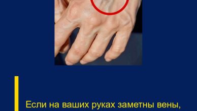 Если на ваших руках заметны вены, это означает, что вы…