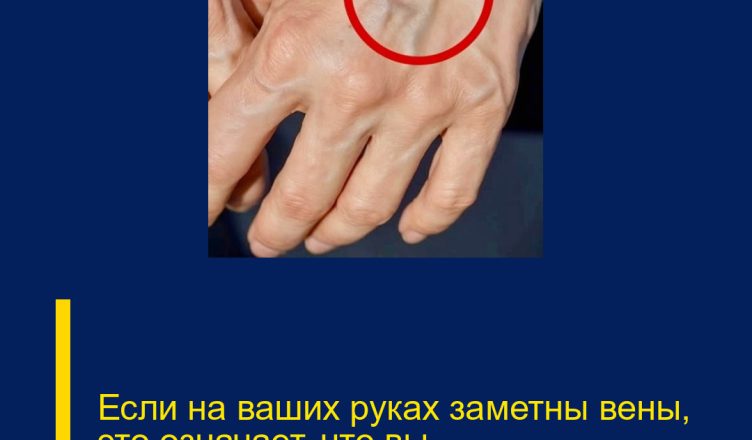 Если на ваших руках заметны вены, это означает, что вы…