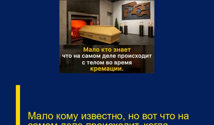 Мало кому известно, но вот что на самом деле происходит, когда…