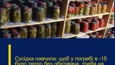 Сусідка навчила: щоб у погребі в -15 було тепло без обігрівача, треба на підлогу кинути шар тирси