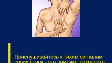 Прислушивайтесь к тихим сигналам своих почек — это поможет сохранить здоровье