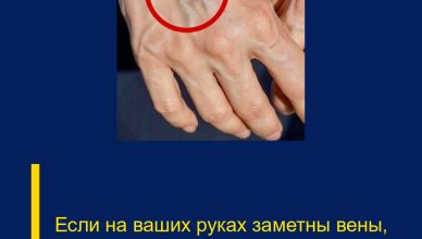 Если на ваших руках заметны вены, это означает, что вы…