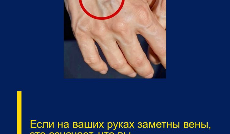 Если на ваших руках заметны вены, это означает, что вы…