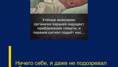 Ничего себе, я даже не подозревал об этом…