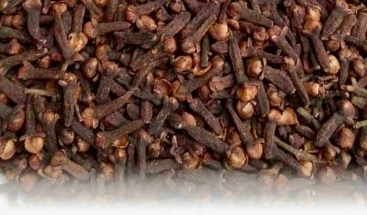 Гвоздика помогла мне взять диабет под контроль после десяти лет борьбы