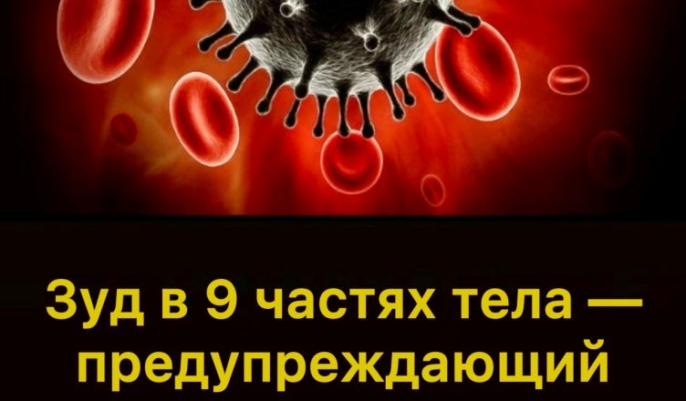 Зуд в 9 частях тела — предупреждающий знак злокачественных опухолей: особенно частая зона №7 Зуд в 9 частях тела — предупреждающий знак злокачественных опухолей: особенно частая зона №7