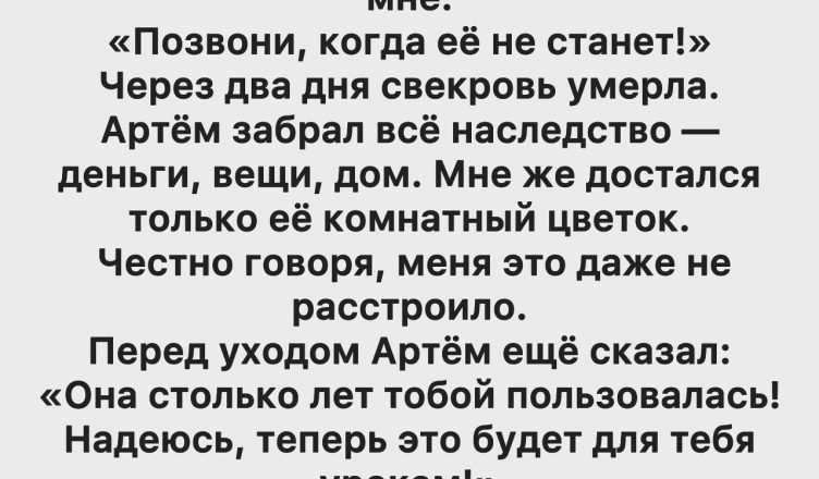 Цветок, оставшийся после моей свекрови