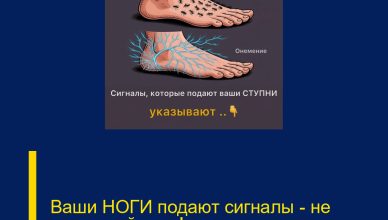 Ваши НОГИ  подают сигналы — не игнорируйте их!