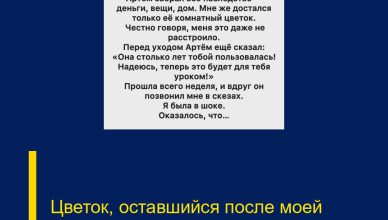 Цветок, оставшийся после моей свекрови