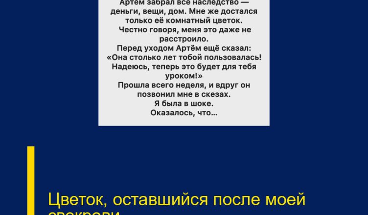 Цветок, оставшийся после моей свекрови