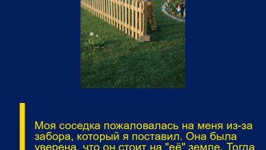 Моя соседка пожаловалась на меня из-за забора, который я поставил. Она была уверена, что он стоит на «её» земле. Тогда она ещё не знала, что покажет настоящая геодезическая съёмка. Моя соседка пожаловалась на меня из-за забора, который я поставил. Она была уверена, что он стоит на «её» земле. Тогда она ещё не знала, что покажет настоящая геодезическая съёмка.