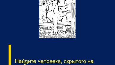 Найдите человека, скрытого на изображении.