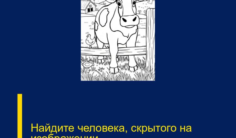 Найдите человека, скрытого на изображении.